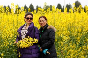 南部縣首屆菜花節開幕活動3